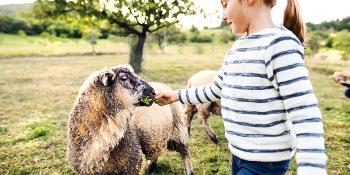 Stichting Natuurlijk doen! Welsum