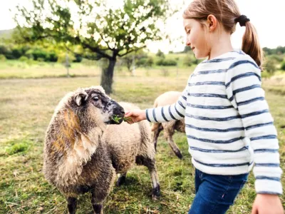 Stichting Natuurlijk doen! Welsum