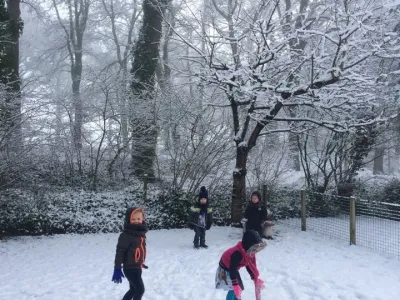 IMG 1975