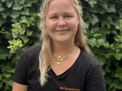 De Toverboom