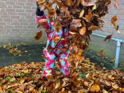 Kinderopvang Dapper