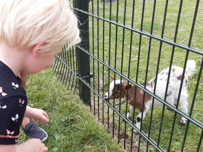 Kleinschalige Kinderopvang Roodkapje De Sloten