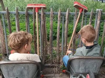 SkippyPepijn KDV Wallaroe