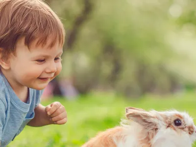 Kinderopvang De Buitentuin