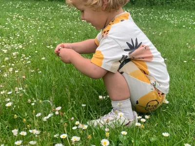 BSO De Kleine Zeester Silvolde