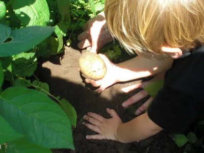 Kinderdagverblijf Wilton's Hof
