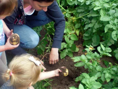 Kinderdagverblijf Wilton's Hof