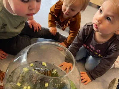 Kinderopvang Miniversum Oosterhout B.V.