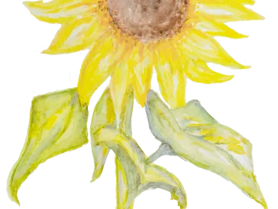 BSO De Kraanvogels