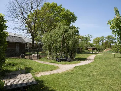 Agrarische kinderopvang Het Kalfje
