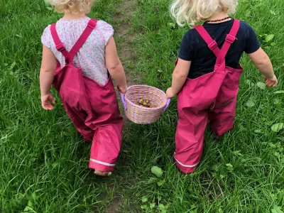 hazelnoten verzamelen