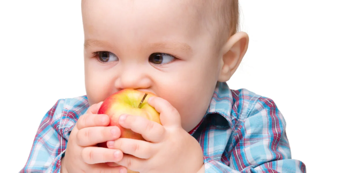 KOM kinderopvang Margraten