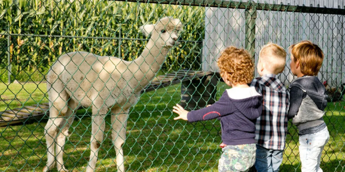 Kinderopvang 't Zonnetje