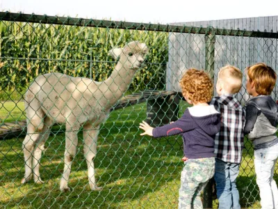 Kinderopvang 't Zonnetje