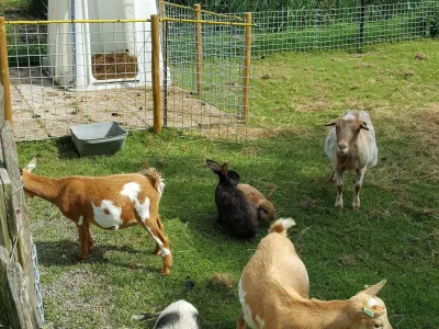 KDV De Speelboerderij