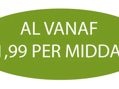 Bos-BSO