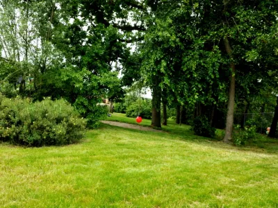 Tuin BSO Babba