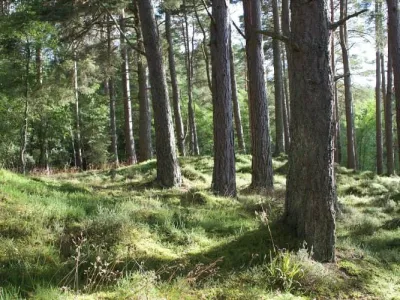 Bij Bartje