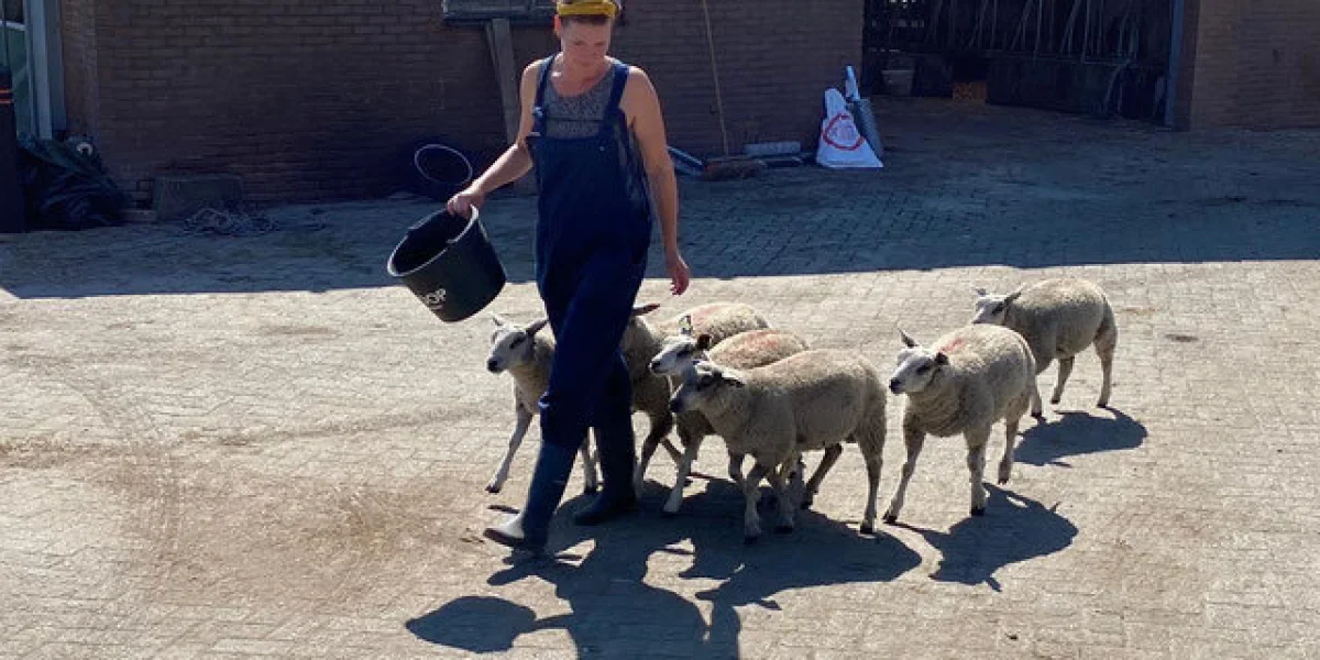 Bij Boer Bas