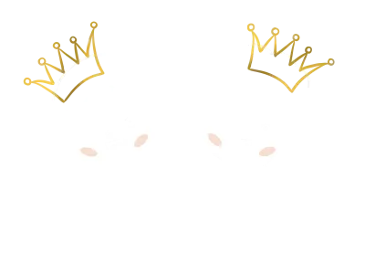 Kindcentrum My Crown