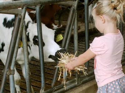 De Dierenvriendjes