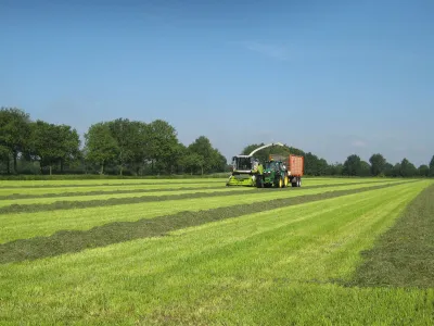 De Dierenvriendjes