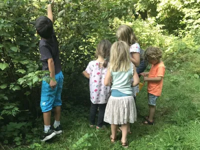 young students picking blackberries