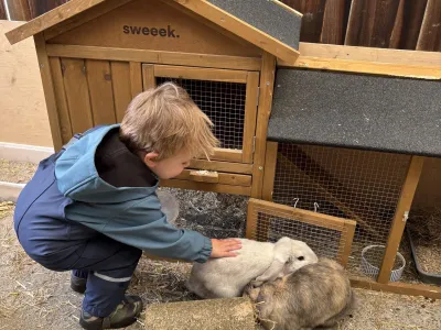 Kinderopvang Zomers