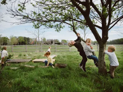 kinderopvang-terheijden-spelen-boom