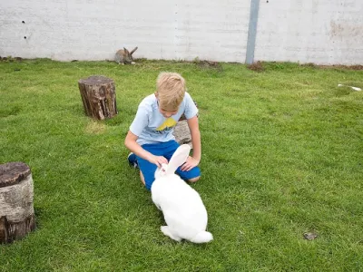 dieren