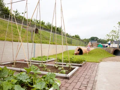 groentetuin