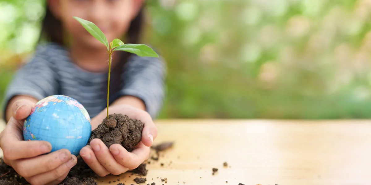 Stichting Kinderopvang De Rotterdamse Montessorischool