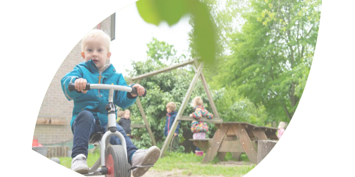 De Vlinderboom op School