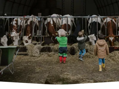 KDV Hoeve Ackerdijk slideshow image