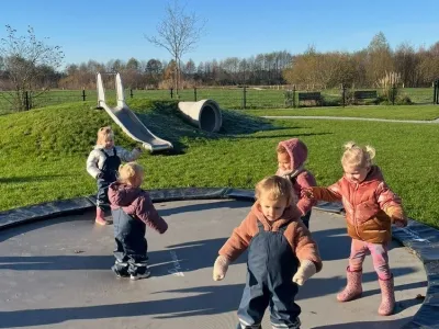 De Vrije Vogeltjes
