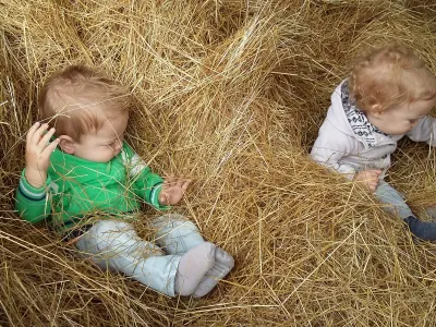 Agrarisch Kinderdagverblijf Hiep Hooi