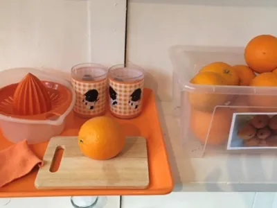 Montessori Kinderopvang De Waterberg