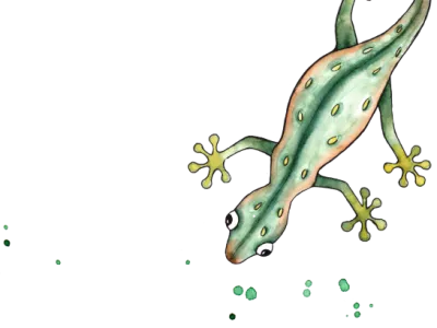 Gecko