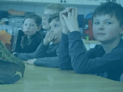 Kinderdagverblijf Hamertje-tik