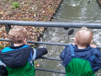 Mosterdzaadje Kinderopvang