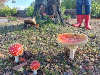 Mosterdzaadje Kinderopvang