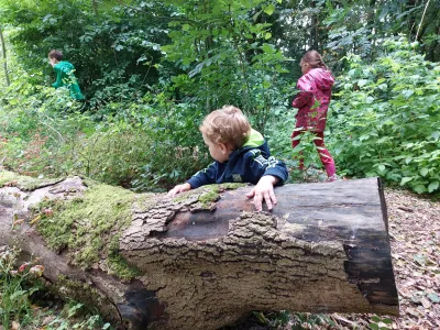 Mosterdzaadje Kinderopvang