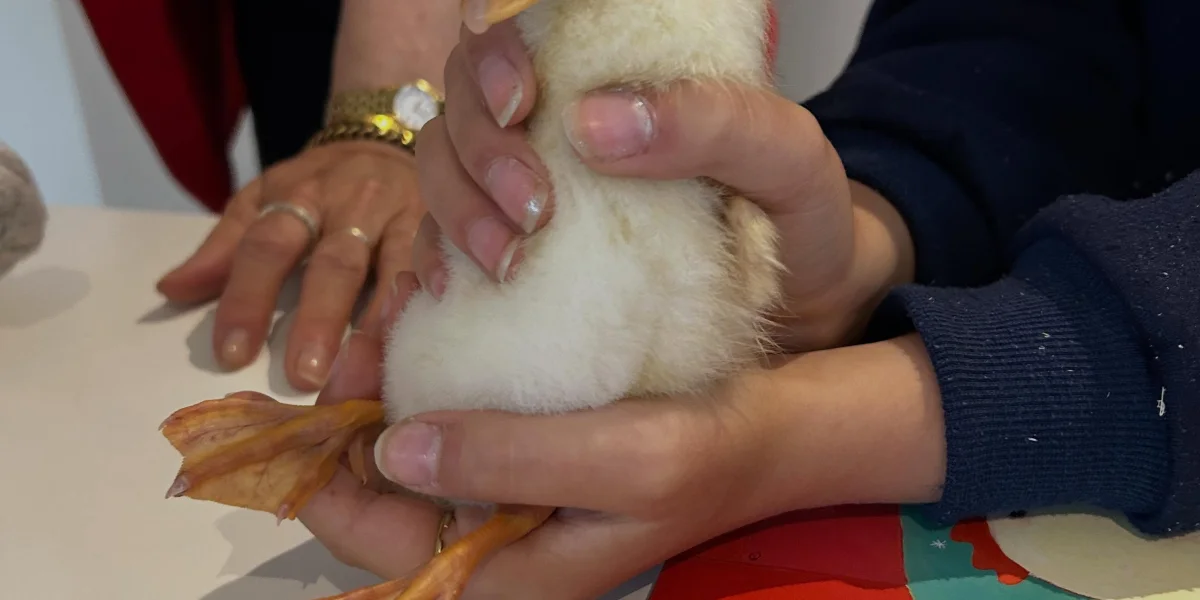 Kinderopvang Tante Keet