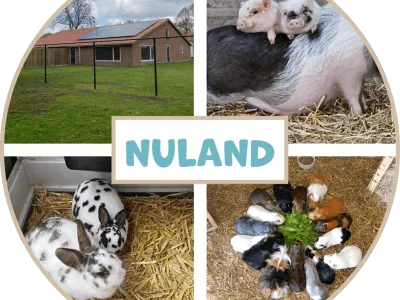BSO Buiten & Zo
