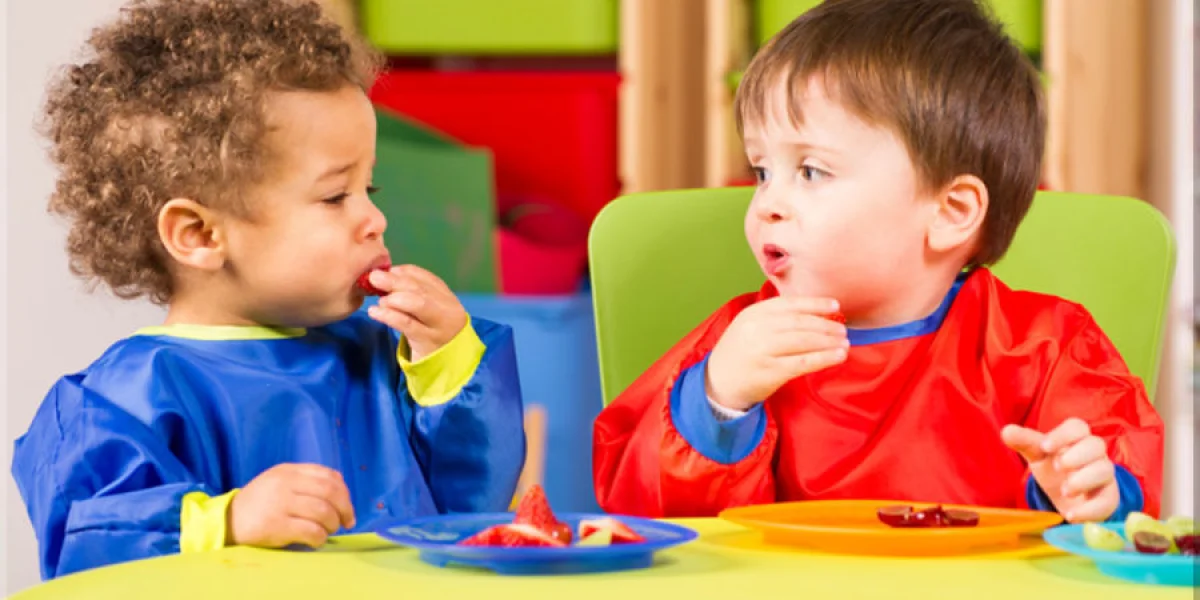 Kinderdagverblijf Schatrijk