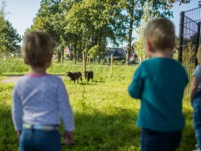 BSO Bloesem Haaksbergen