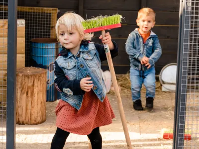 Kinderopvang de Boomgaard locatie Dr. Schaepmanlaan B.V. (BSO)