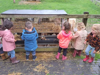 KinderOpvang De vlinder