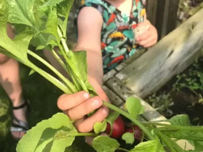 't Hooibergje Agrarisch Kinderdagverblijf 2.0