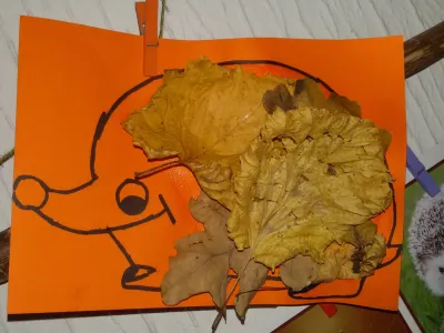 Meulenbroeks Postema